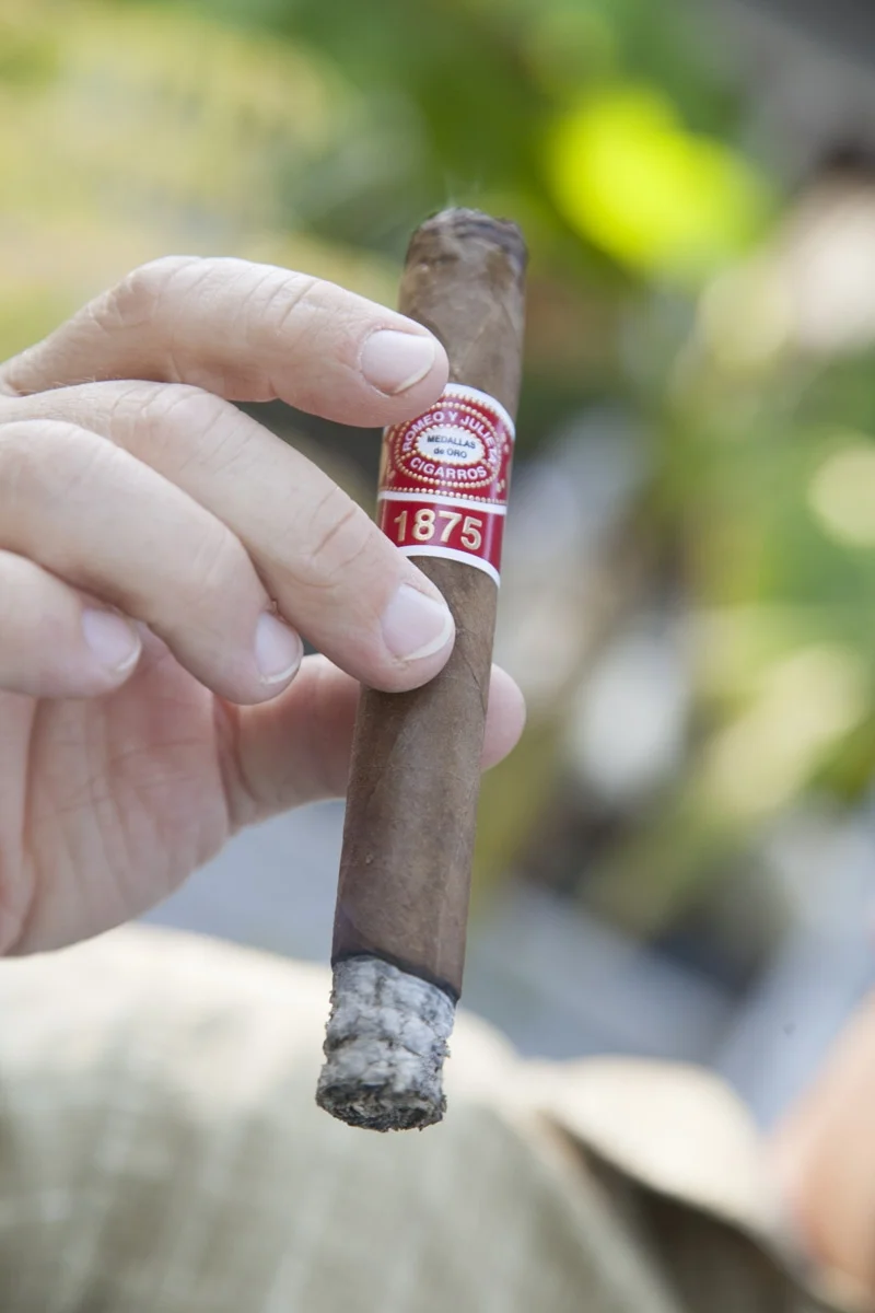 Cigar 11b.JPG